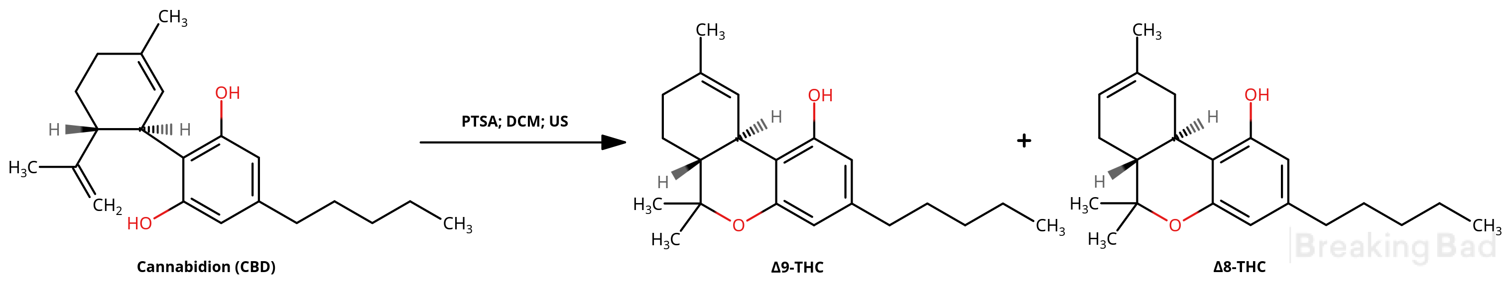 Bds91OhRNp