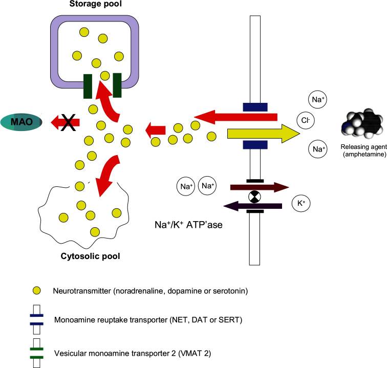 Mechanism 1